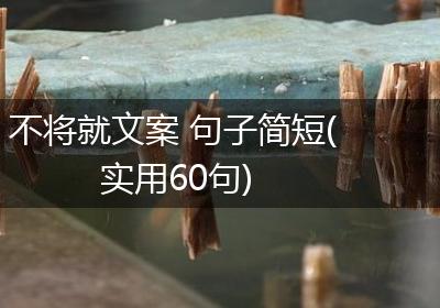 不将就文案 句子简短(实用60句)