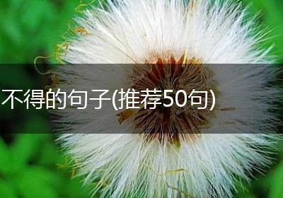 不得的句子(推荐50句)
