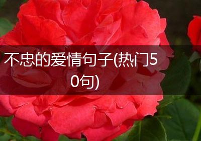 不忠的爱情句子(热门50句)
