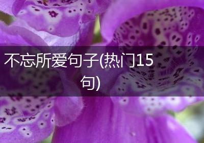 不忘所爱句子(热门15句)
