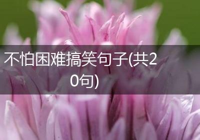 不怕困难搞笑句子(共20句)