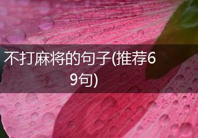 不打麻将的句子(推荐69句)