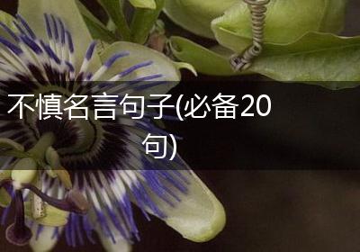不慎名言句子(必备20句)