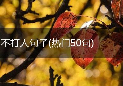 不打人句子(热门50句)