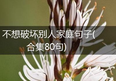不想破坏别人家庭句子(合集80句)