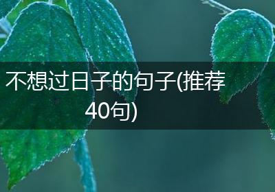 不想过日子的句子(推荐40句)