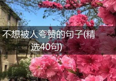 不想被人夸赞的句子(精选40句)