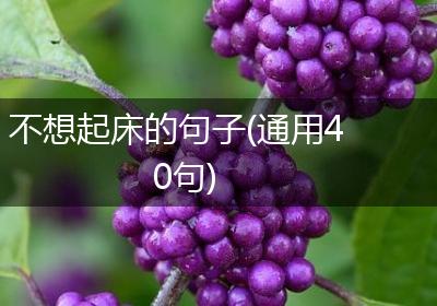 不想起床的句子(通用40句)