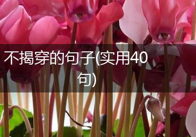 不揭穿的句子(实用40句)