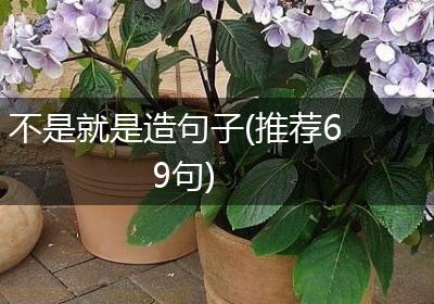 不是就是造句子(推荐69句)