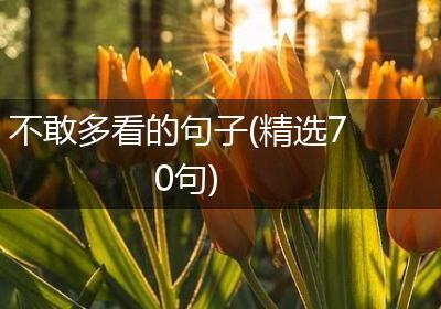 不敢多看的句子(精选70句)