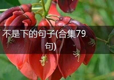 不是下的句子(合集79句)