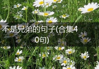 不是兄弟的句子(合集40句)