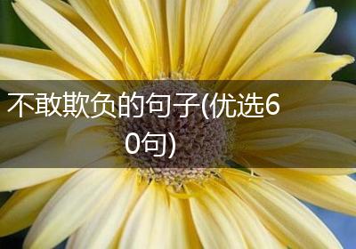 不敢欺负的句子(优选60句)