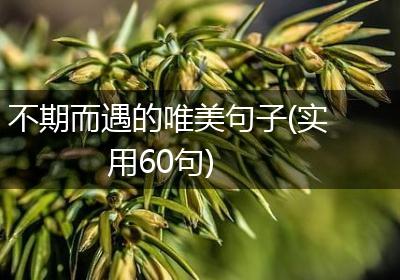 不期而遇的唯美句子(实用60句)
