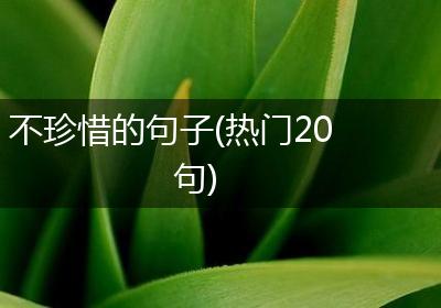 不珍惜的句子(热门20句)