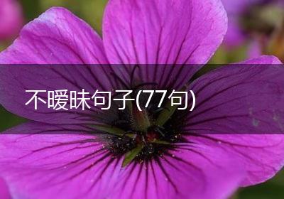 不暧昧句子(77句)