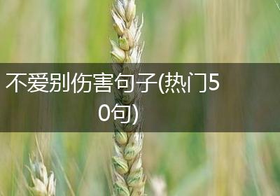 不爱别伤害句子(热门50句)