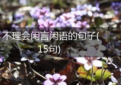 不理会闲言闲语的句子(15句)