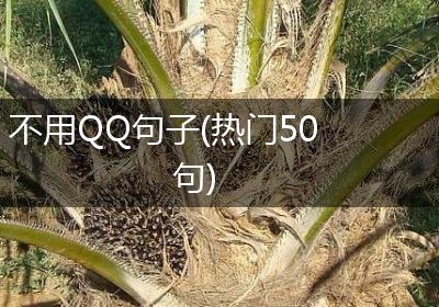 不用QQ句子(热门50句)