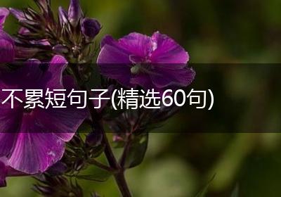 不累短句子(精选60句)