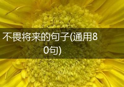 不畏将来的句子(通用80句)