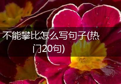 不能攀比怎么写句子(热门20句)