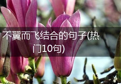 不翼而飞结合的句子(热门10句)
