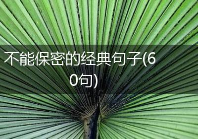 不能保密的经典句子(60句)