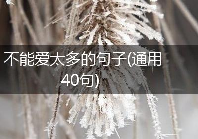 不能爱太多的句子(通用40句)