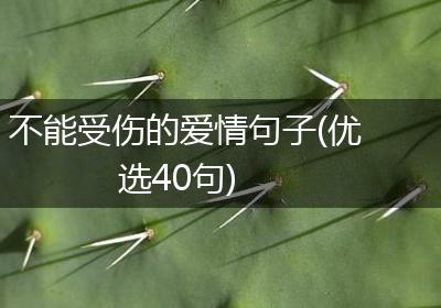 不能受伤的爱情句子(优选40句)