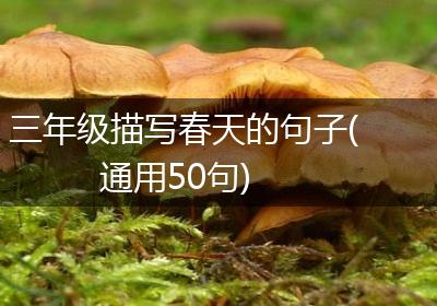 三年级描写春天的句子(通用50句)