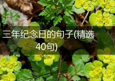 三年纪念日的句子(精选40句)