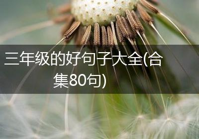 三年级的好句子大全(合集80句)