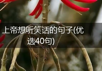 上帝想听笑话的句子(优选40句)