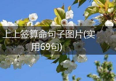 上上签算命句子图片(实用69句)