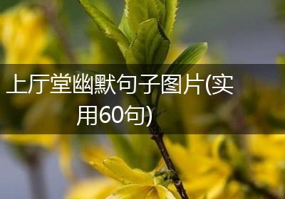 上厅堂幽默句子图片(实用60句)