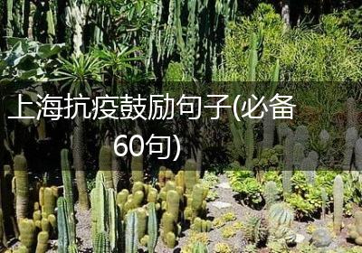 上海抗疫鼓励句子(必备60句)