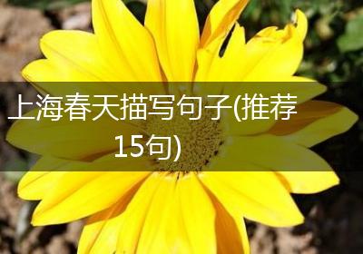 上海春天描写句子(推荐15句)