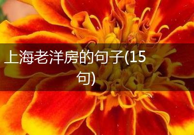 上海老洋房的句子(15句)