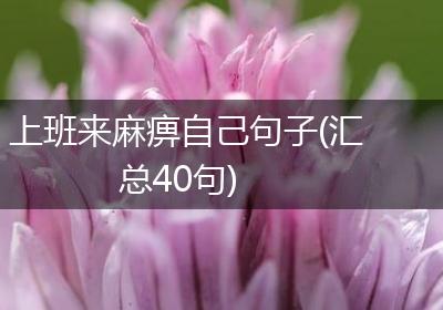 上班来麻痹自己句子(汇总40句)