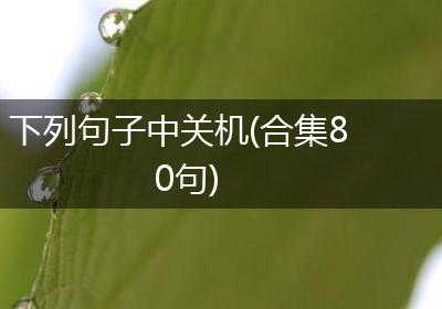 下列句子中关机(合集80句)