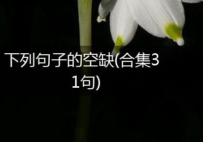 下列句子的空缺(合集31句)