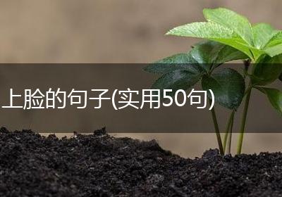 上脸的句子(实用50句)