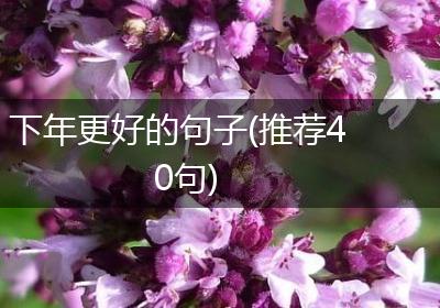 下年更好的句子(推荐40句)