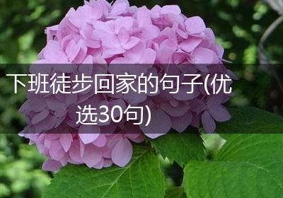 下班徒步回家的句子(优选30句)