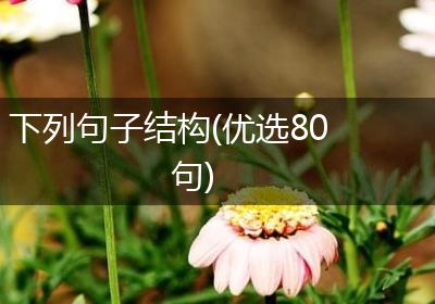 下列句子结构(优选80句)