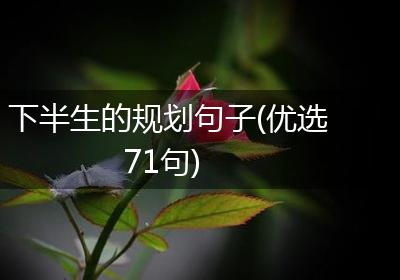 下半生的规划句子(优选71句)