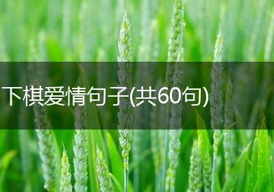 下棋爱情句子(共60句)