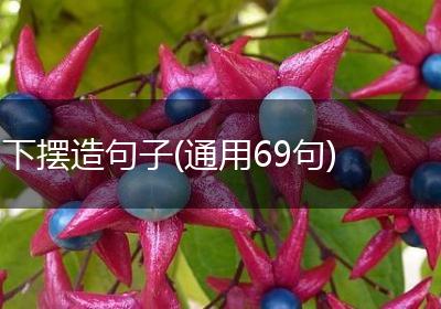下摆造句子(通用69句)